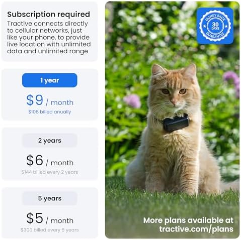 Cat wearing Tractive dark blue GPS tracker collar