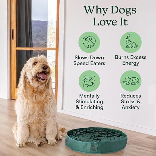 Reggie Dog Slow Feeder Mat non slip rubber bottom