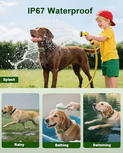 Tagoon adjustable dog training collar worn by a large breed showcasing the secure fit.