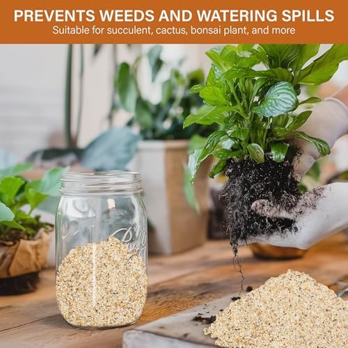 Nupick horticultural sand used as top dressing for succulent plants