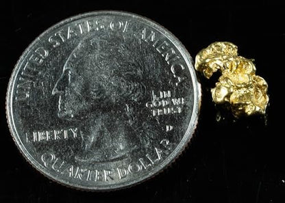 Authentic 1.23 gram raw gold nugget texture and luster