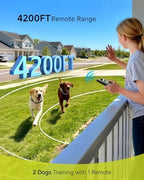 Rechargeable twin dog behavior correction remote control displaying four customizable training modes