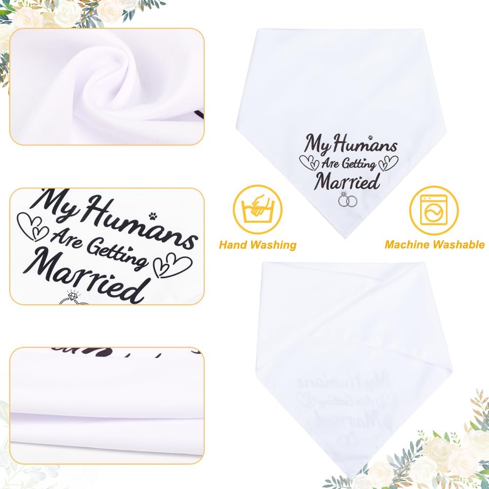 Large size dog wearing black engagement scarf with text my humans are getting married