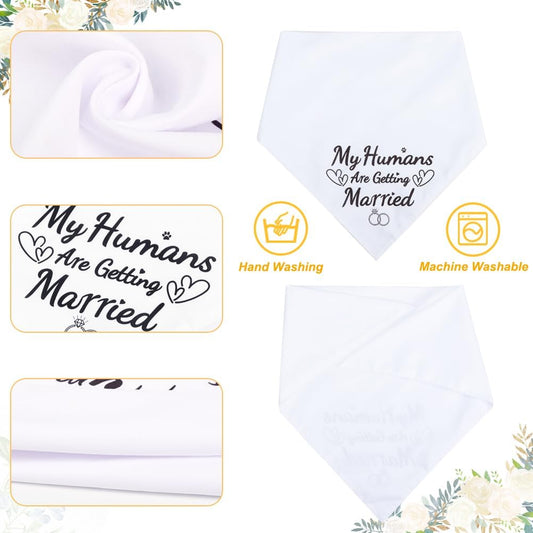 Large size dog wearing black engagement scarf with text my humans are getting married
