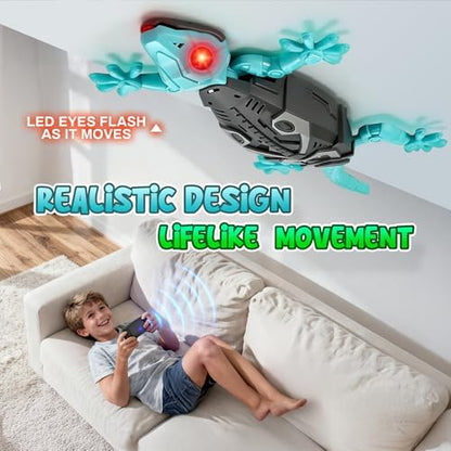 Hamino remote control lizard with its dedicated 2.4 GHz controller