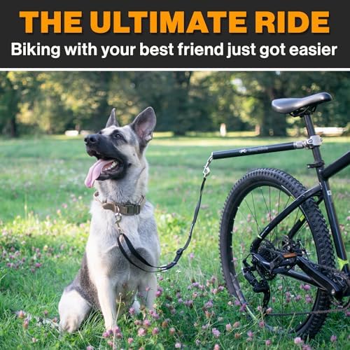 Dog running beside bike with Malabi leash attachment