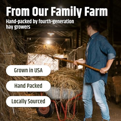 High Desert alfalfa hay opened box displaying natural green forage