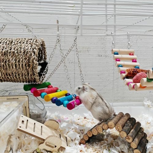 Hamiledyi colorful wooden swing for cage