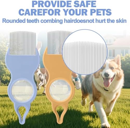 Small dog grooming with Pethroom 3-in-1 tool set
