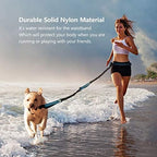 Uppetly hands free waist belt leash set including integrated zipper pouch accessory holder