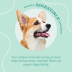 Better Belly grain free dental treats for dogs