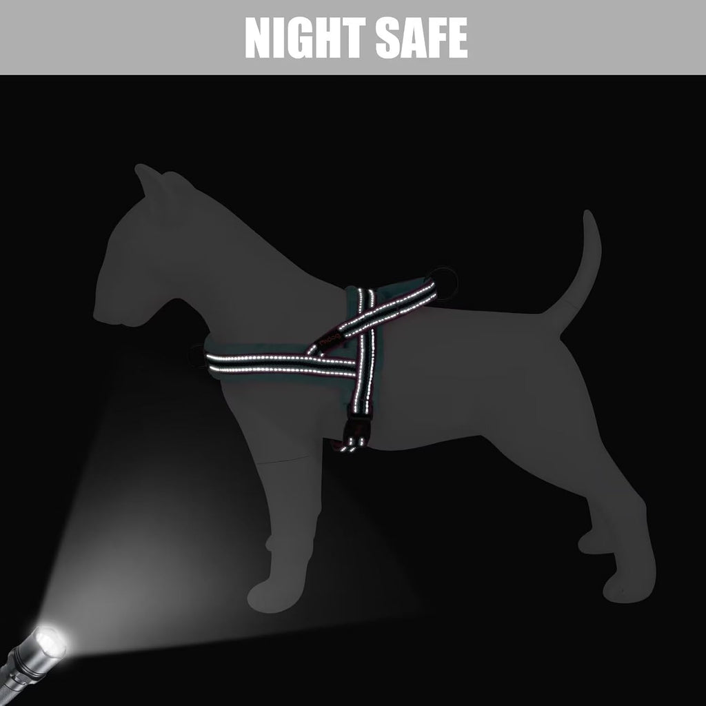 Didog dog harness reflective safety stripes in dark