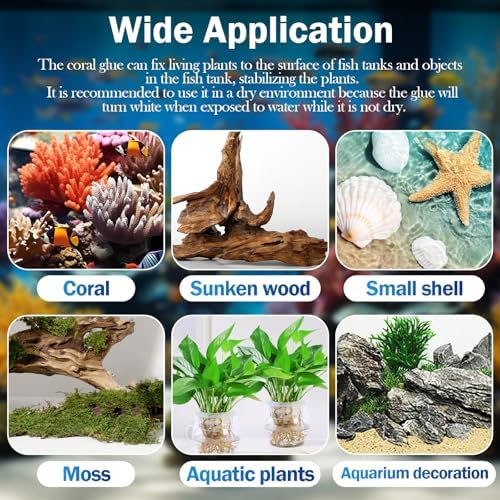 Aquarium safe adhesive securing coral frags to ceramic reef plugs
