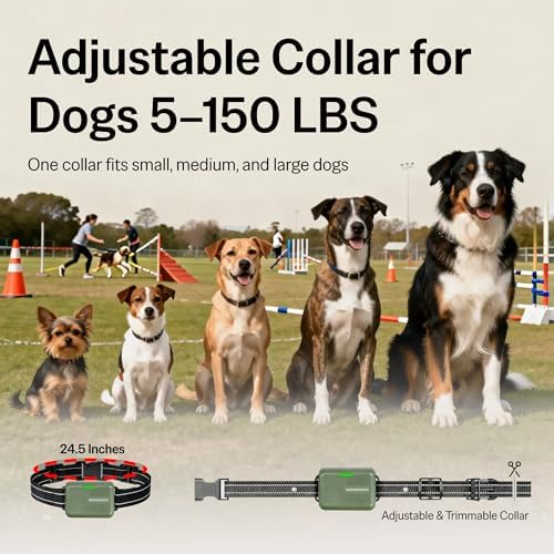 Rechargeable pet behavior training receiver showing charging port and contact points