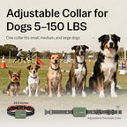 Rechargeable pet behavior training receiver showing charging port and contact points