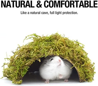 Hamster Hideout - Large, Natural Moss, Handcrafted for Syrian Hamsters, Rats & Guinea Pigs, Safe & Eco-Friendly - Image 5
