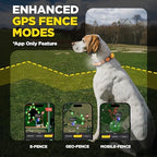 Full kit layout of the Dogtra Pathfinder2 Mini Compass system including cables, tester, and manual.