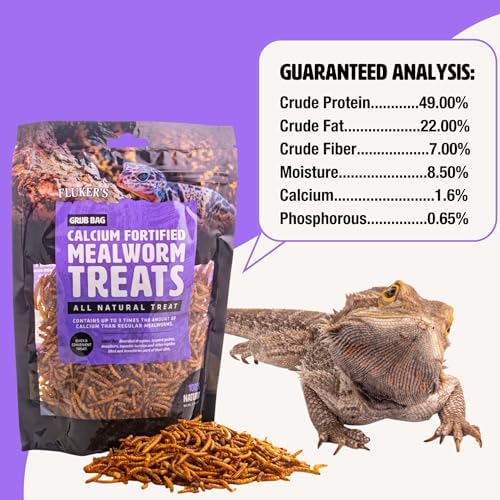 High protein insect snack for bearded dragons and reptiles