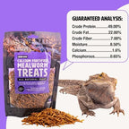 High protein insect snack for bearded dragons and reptiles