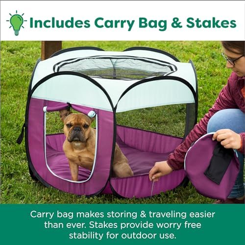 Furhaven Portable Dog Playpen Cat Tent, Pet Playground,Kennel Foldable Indoor Outdoor Zippered Puppy Crate - Green & Pink, Medium - Image 6
