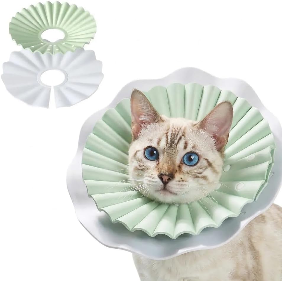 McGill's Tail Cat Cone Collar front view of soft mint green recovery cone