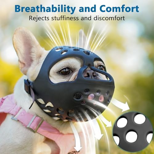 Barkless brachycephalic dog muzzle being rinsed under running water for cleaning