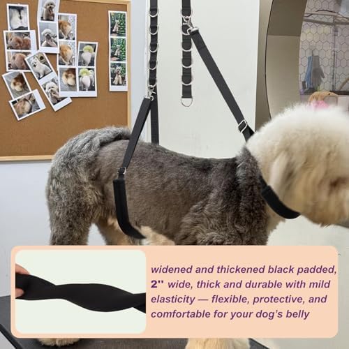 Durable heavy-duty grooming restraint hardware details