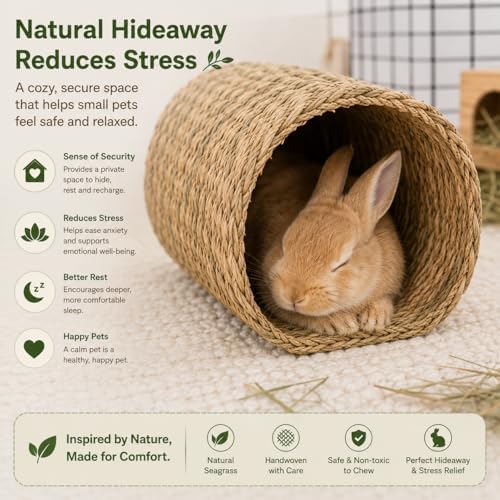 PEMAR Natural Seagrass Bunny Tunnel - Handwoven Rabbit Hideaway & Edible Grass House - Safe Chew Toy, Bed for Guinea Pigs, Chinchillas, Rats & Indoor Bunnies - Small Animal Enrichment (9x8.3x6.3") - Image 6