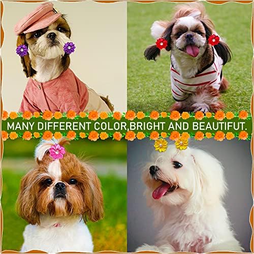 Small dog wearing Mruq Pet handmade grooming bow