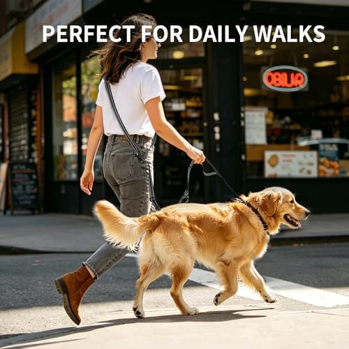 Kazazoo hands free dog leash highlighting the highly reflective stitching for nighttime safety.