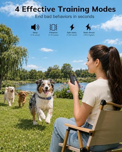 Waterproof rechargeable dog shock collar with reflective strap for safe night training.