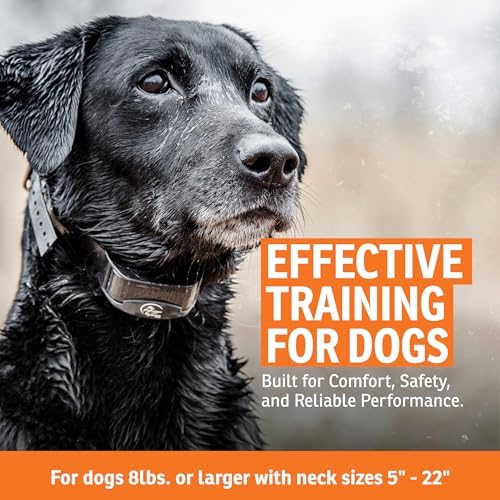 SportDOG YardTrainer 300 waterproof collar receiver