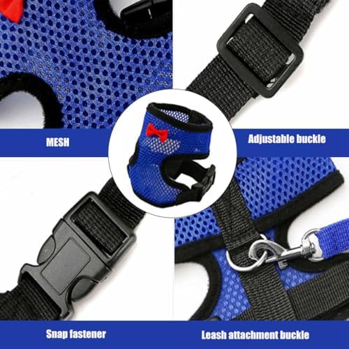 WeimoMonkey blue small animal harness set laid flat illustrating compact lightweight design.