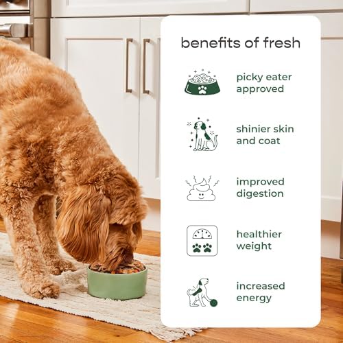 Freshpet fresh dog food package back view