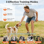 Adjustable orange nylon pet collar fitting eight to one hundred twenty pounds