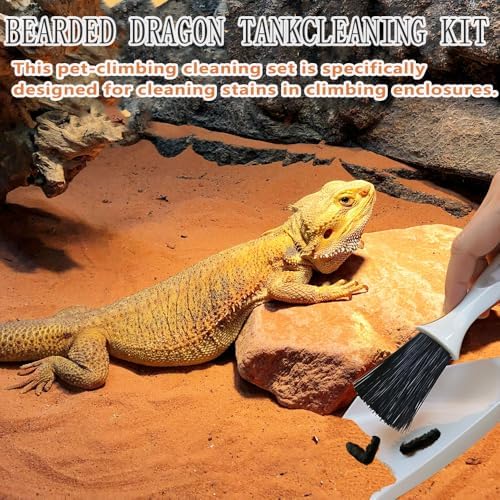 Delllala aquarium cleaning set highlighting the driftwood and rock brush designed for textured decorations.