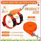 Tondiamo small pet vest harness displayed in four vibrant colors