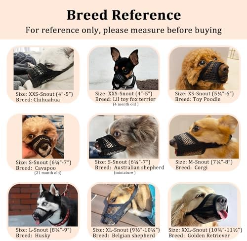 Overhead security strap layout on Mayerzon anti biting dog guard