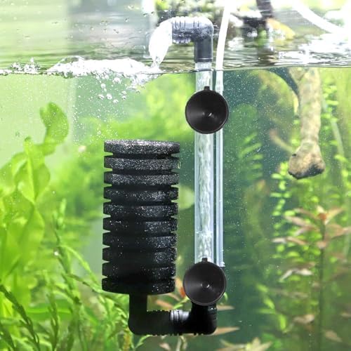 Classicseali rubber aquarium suction cups being pressed against smooth glass to demonstrate the vacuum adherence strength.