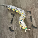 KiwiCo STEM kit packaging and included decorative snake skins