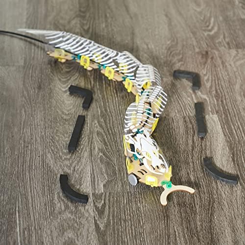 KiwiCo STEM kit packaging and included decorative snake skins