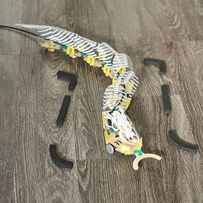 KiwiCo STEM kit packaging and included decorative snake skins