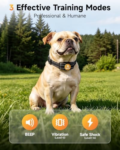 Patpet waterproof collar receiver for dogs