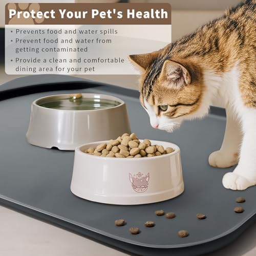 Smilool pet feeding station setup
