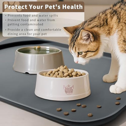 Smilool pet feeding station setup
