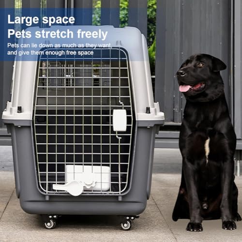 Generic thirty three inch dog kennel being prepared for vehicle car travel.