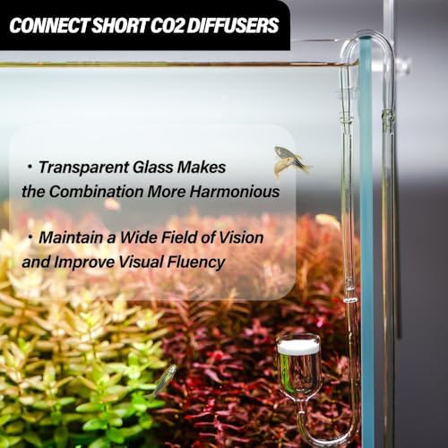 LINLAN 4-piece aquarium accessory pack demonstrating scratch-resistant glass material.