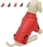 Large breed dog wearing leather jacket for cold weather