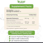B'Leaf Nature Quercetin Phytosome high absorption ingredients breakdown