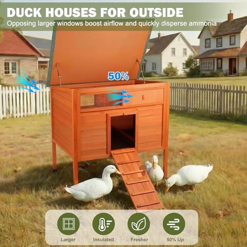 Insulated Duck Coop Warm Duck House for Outside Wooden Duck House with Larger Windows, Chicken coop with Perches, Ramp, Openable Roof - Image 6